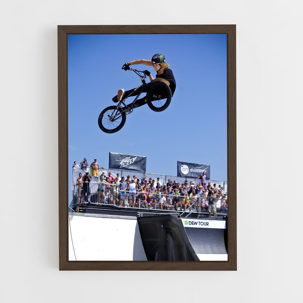 Poster Trickster BMX (vue 5)